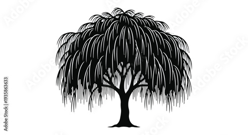 A black silhouette of a weeping willow tree on a with long drooping branches