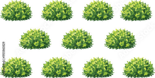 Green bush illustration set arranged in grid pattern with vibrant foliage, decorative plant artwork, educational nature design, and botanical landscape elements for commercial use