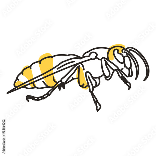 Color stroke semi colored hornet