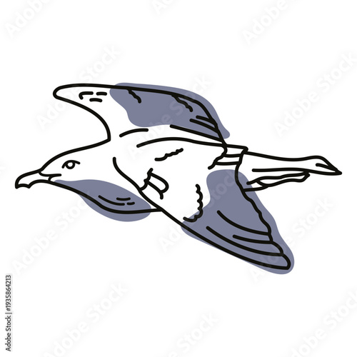 Color stroke semi colored seagull