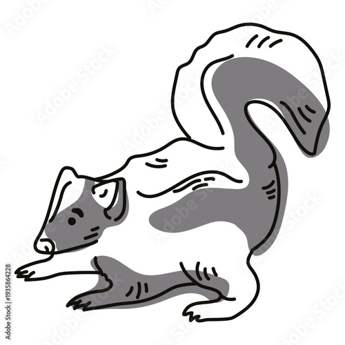 Color stroke skunk semi colored