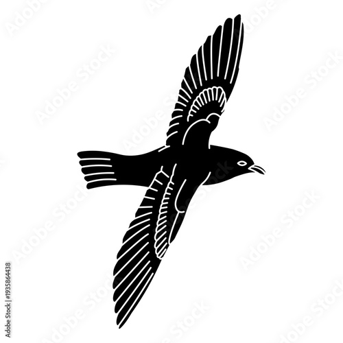 Seagull flying cut out