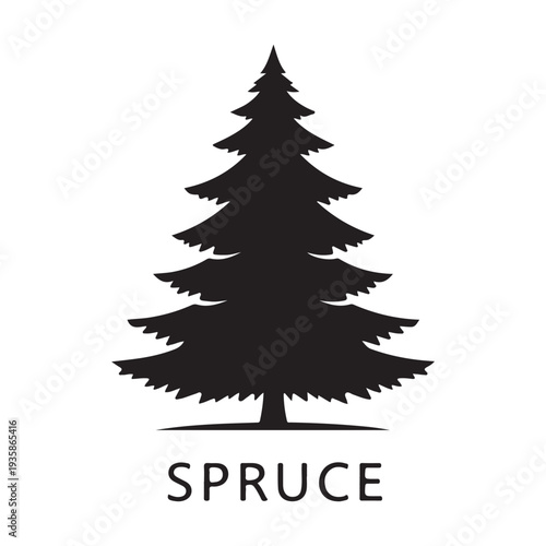 Spruce tree silhouette isolated on white background, coniferous pine vector illustration