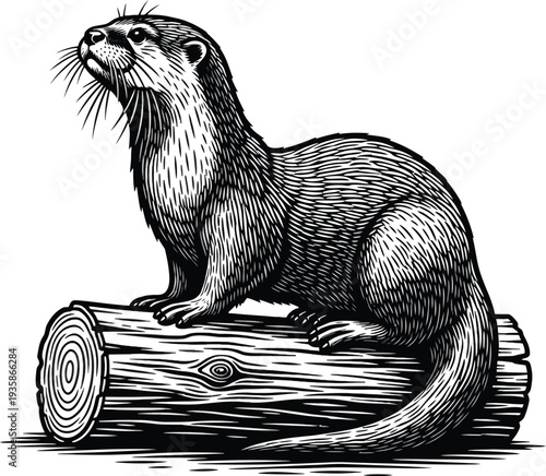 Vector otter illustration on log wildlife drawing animal art