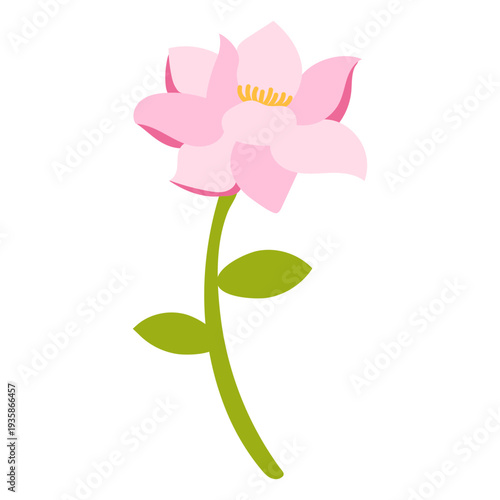 Sole pink flower nature