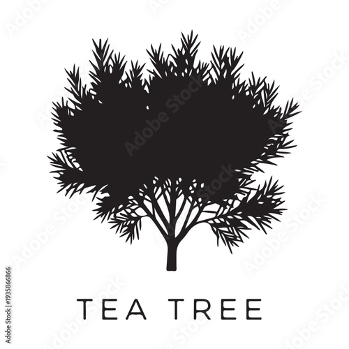 Tea tree shrub silhouette isolated on white background, black vector illustration