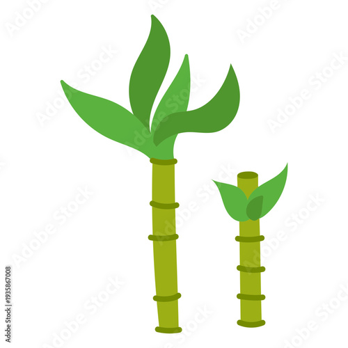 Tableau sur toile Bamboos flat