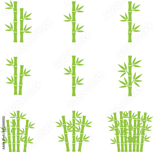 Green bamboo plant silhouette collection with leaves and stalks isolated tropical nature icons for garden design eco decoration and botanical themes