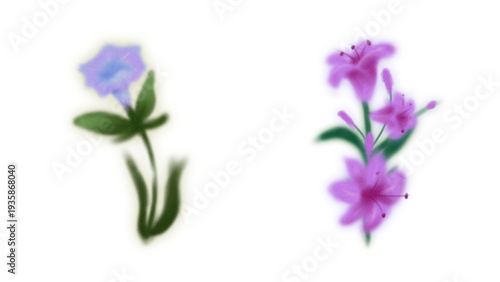 Set of Beautiful Purple and Pink Wildflower Illustrations Isolated on White Background
