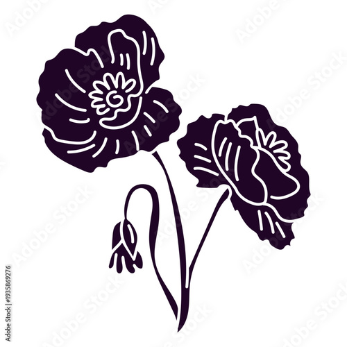 Fotografie Poppy flowers cut out
