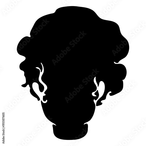 Woman hairstyle cut out
