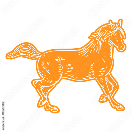 Horse galloping cut out
