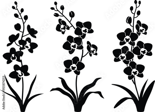 Elegant orchid flower silhouette vector set with tropical botanical branch elements and decorative garden plant designs