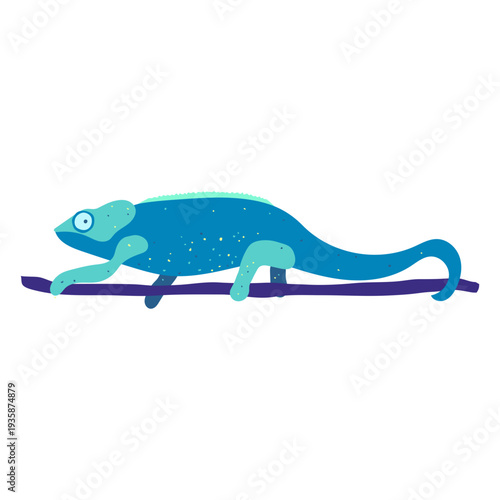 Blue chameleon animal