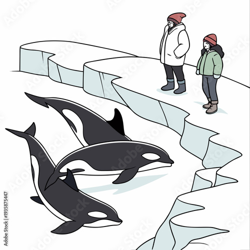 Of people watching orcas swim in icy waters whale frozen sea