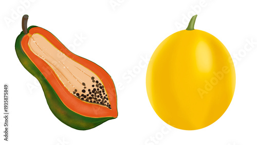 Fresh Sliced Papaya with Seeds and Whole Yellow Canary Melon Illustration Isolated on White Background