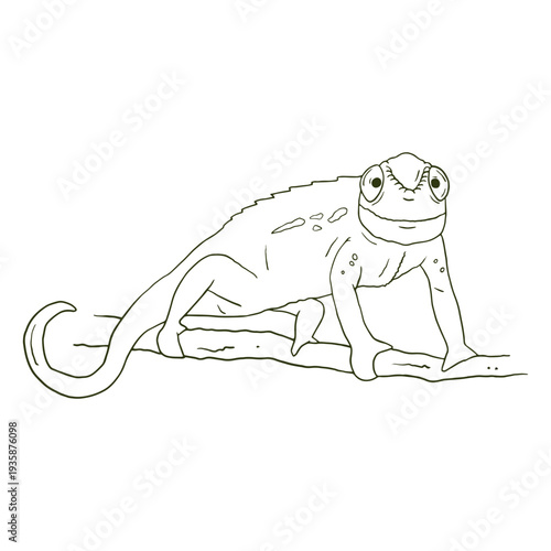 Chameleon on a branch up front stroke