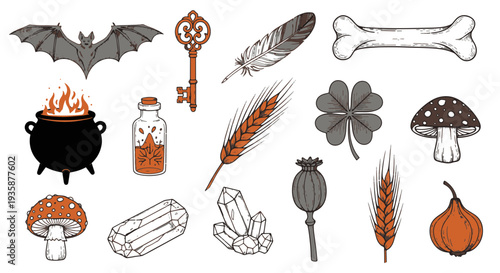 A Witchs Cauldron with Orange Flames a Bat a Bone a Key Crystals Mushrooms and Botanical Elements