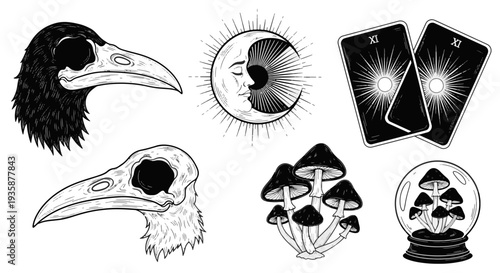 Collection of Mystical and Occult Objects Crow Skulls Crescent Moon with Face Tarot Cards and Mushrooms