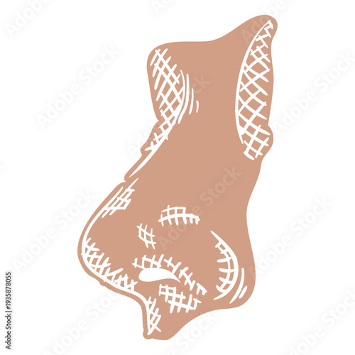 Persons nose cut out