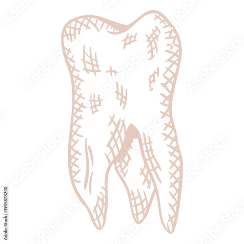 Single molar tooth filled stroke