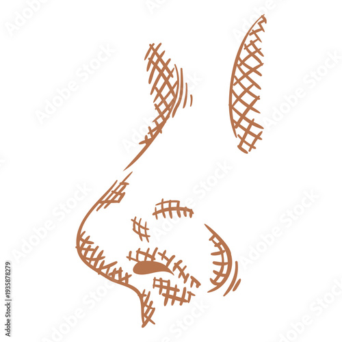 Profile nose element hand drawn