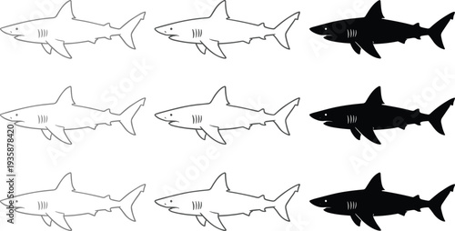 Shark Vector Illustration Set with Great White Shark Outline and Silhouette Marine Predator Ocean Wildlife Editable Graphic Collection