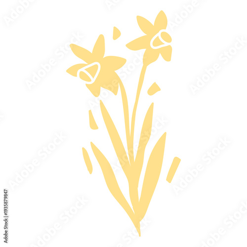 Yellow daffodil flowers cut out