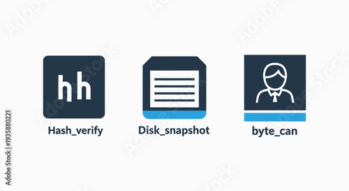 Data security and cloud storage icons for hash verification and disk snapshot management in software interfaces