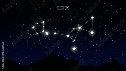 Cetus zodiac constellation on a dark night sky background with stars, astrology, astronomy vector design elements