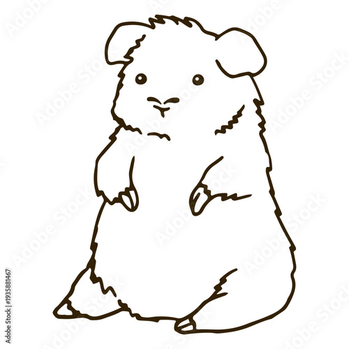 Standing guinea pig stroke