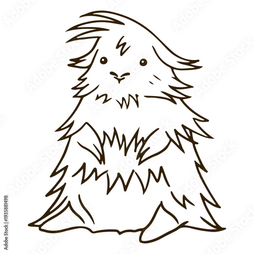 Sitting hairy guinea pig stroke