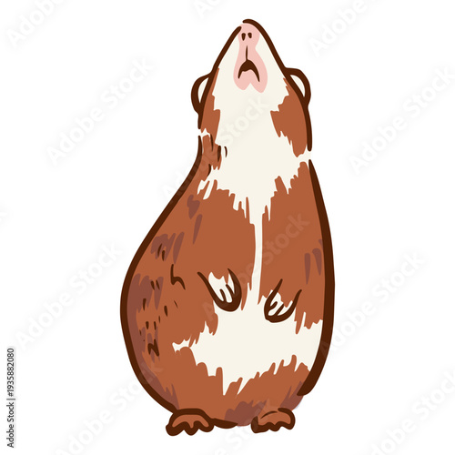 Standing guinea pig illustration