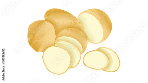 Fresh Potatoes Illustration with Whole and Sliced Pieces Isolated on White Background