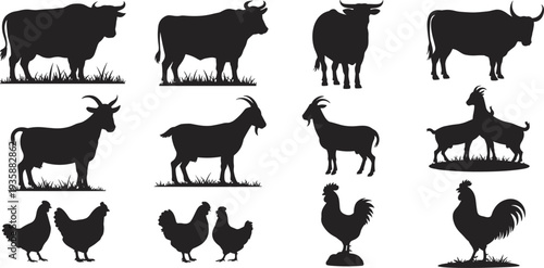 Farm animal silhouettes set with cow, goat, chicken and rooster, black livestock vector collection isolated for agriculture design, farming logo and rural illustration