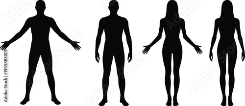 Human body silhouette set, male and female anatomy front view figures, people body outline reference, medical anatomy vector illustration isolatedHuman body