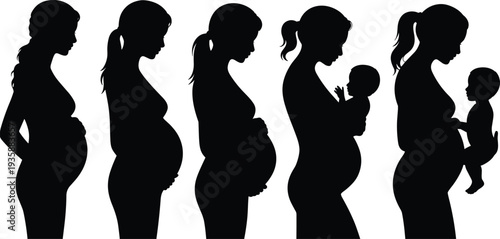 Pregnancy and motherhood silhouette stages, pregnant woman growth to mother holding baby, maternal life cycle concept, family parenting vector illustration