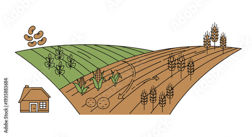Crop rotation Line art vector minimal bold color illustration