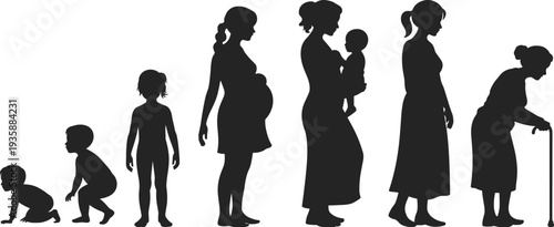 Woman life stages silhouette, female growth from baby to elderly, motherhood and aging process, human life cycle concept, generation evolution vector illustration
