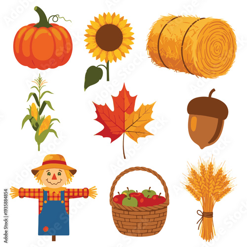 Autumn harvest flat design vector illustration with pumpkin, sunflower, corn, basket of fruits and scarecrow