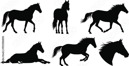 Black horse silhouettes set with running, jumping, standing, and lying down poses, stallion head profile, and equestrian animal vector illustrations for cad drawing flat vector illustration.