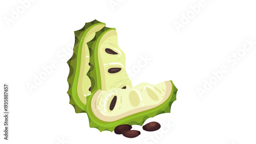 Slices of Fresh Soursop or Guanabana Fruit Illustration Isolated on White Background