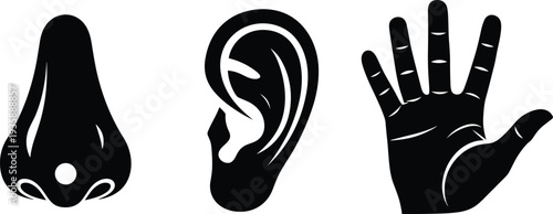 Black human body parts icons set with nose, ear, and hand palm silhouettes for medical, sensory, or cad drawing flat vector illustration designs.