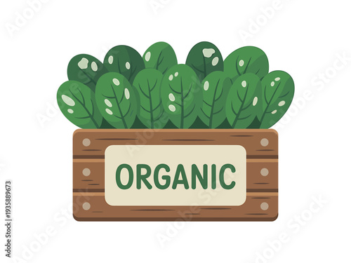 Organic leafy green vegetables in a wooden crate with label  healthy eating concept