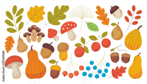 Autumn clipart set with leaves mushrooms pumpkins gourds acorns and berries isolated on white