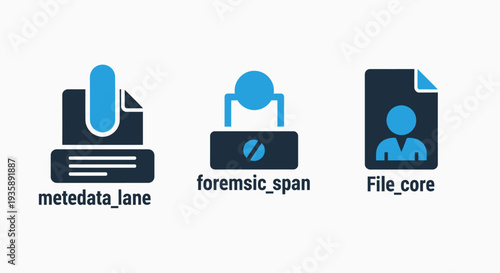 Icons for data management: metadata, forensic span, file core. Flat design icons representing information, analysis, and digital data.