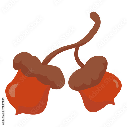 Thanksgiving semi flat acorn