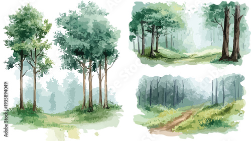 Misty forest landscape with sunlight and green trees