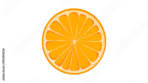 Round Orange Slice Cross Section Illustration Isolated on White Background