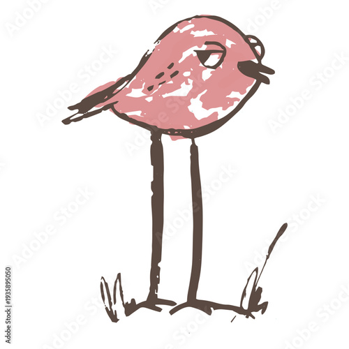 Tiny bird hand drawn